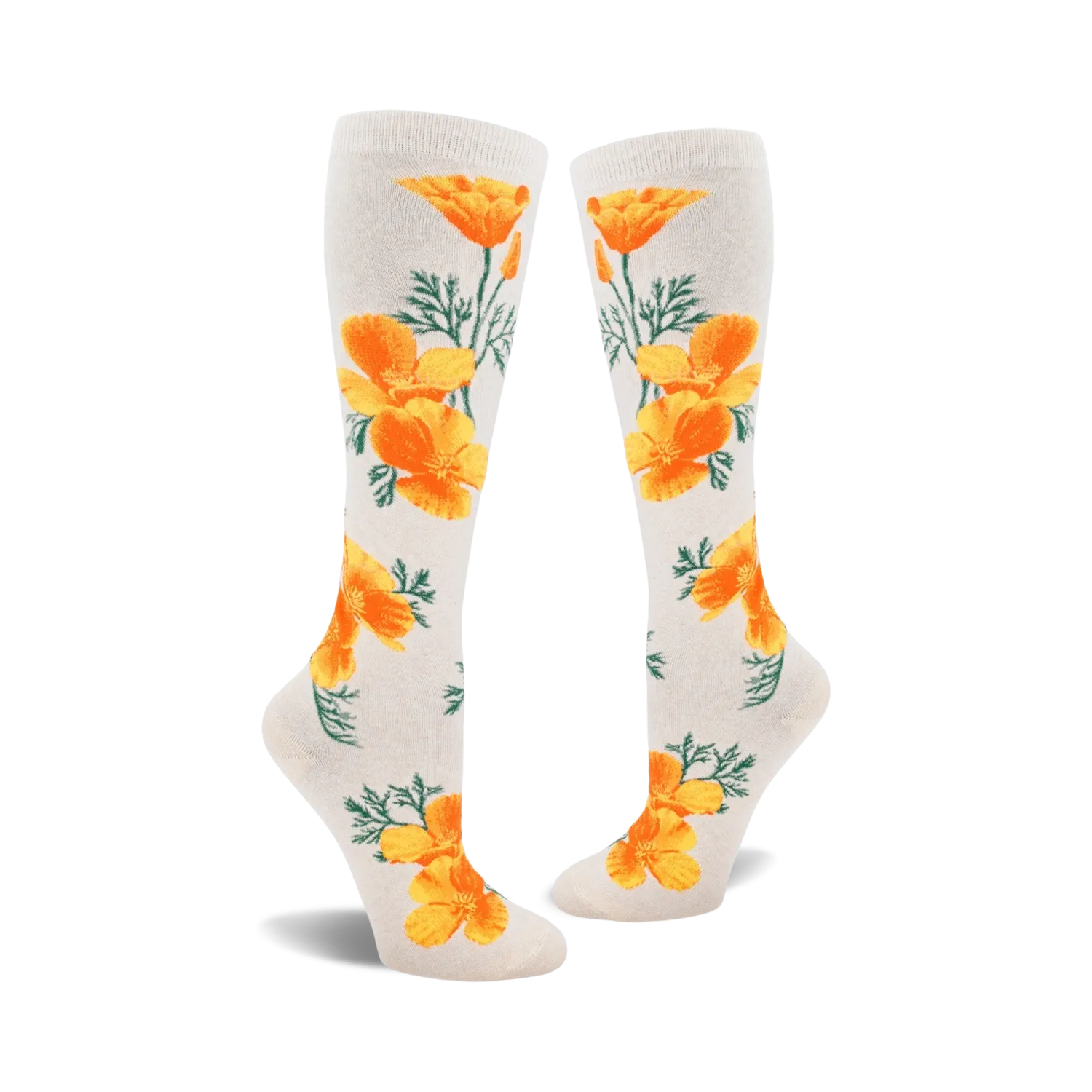 California Poppy