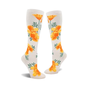 California Poppy