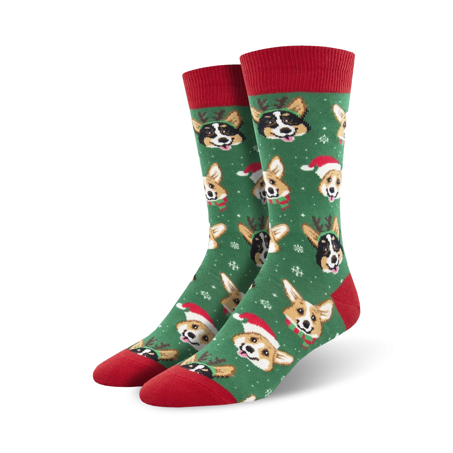 Happy Pawlidays