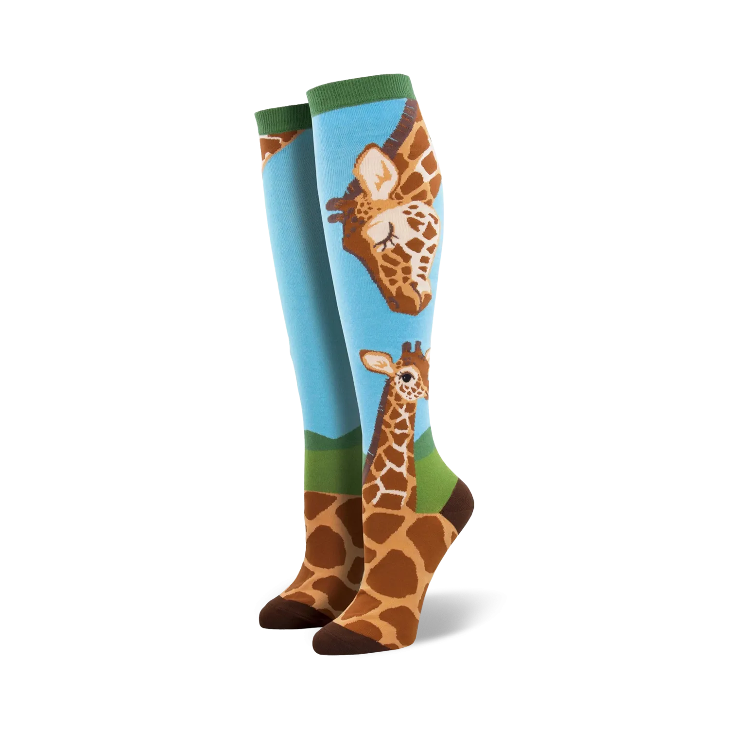 Loving Giraffes