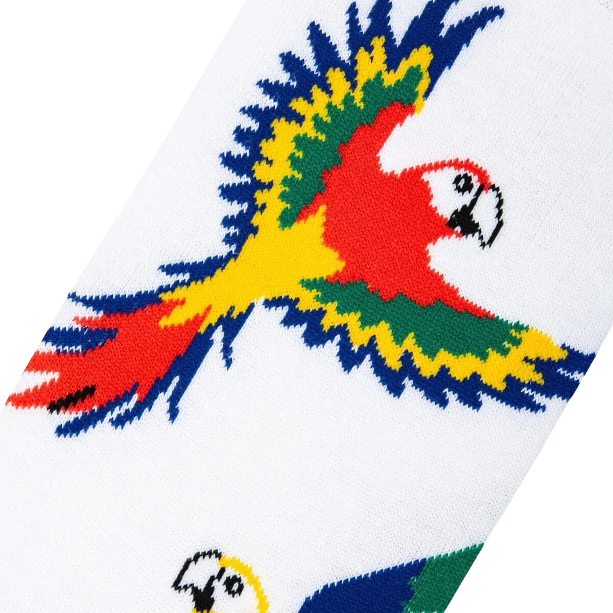Parrots