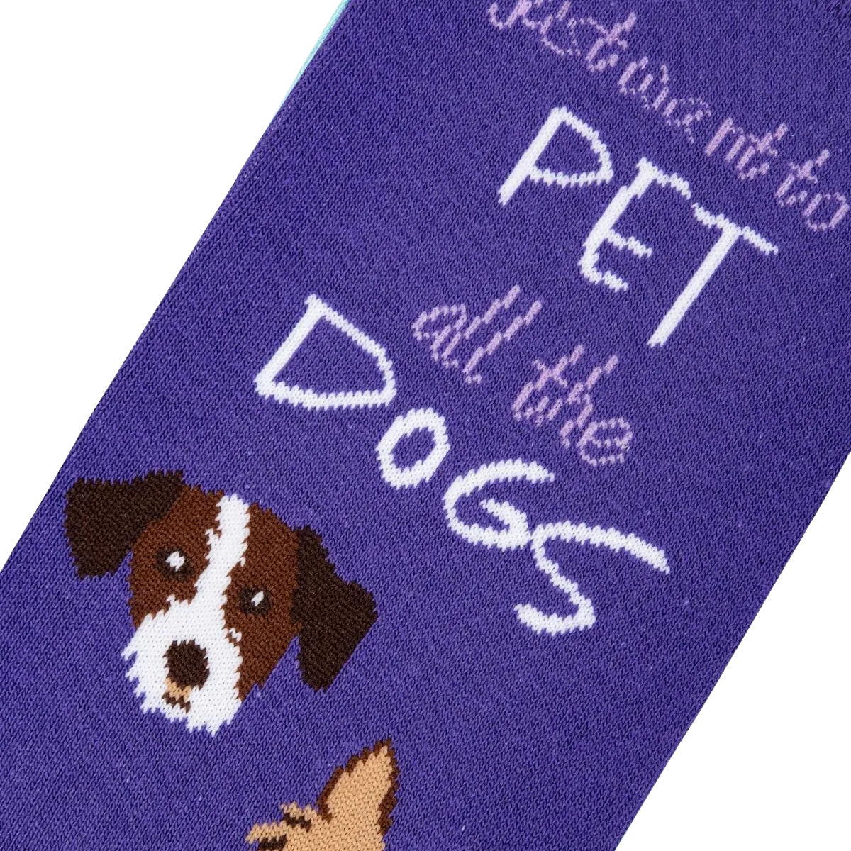 Pet All The Dogs