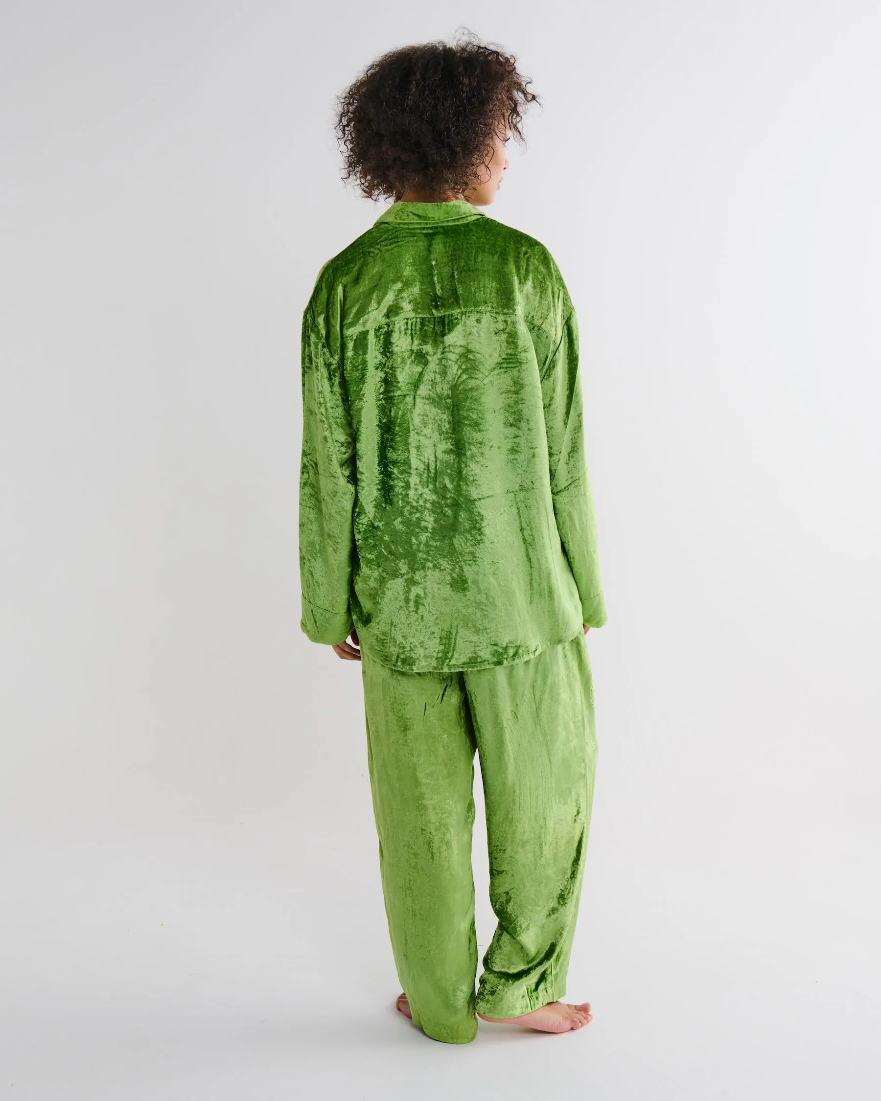 Pistachio Adult Velvet Long Sleeve Shirt & Pant Pyjama Set