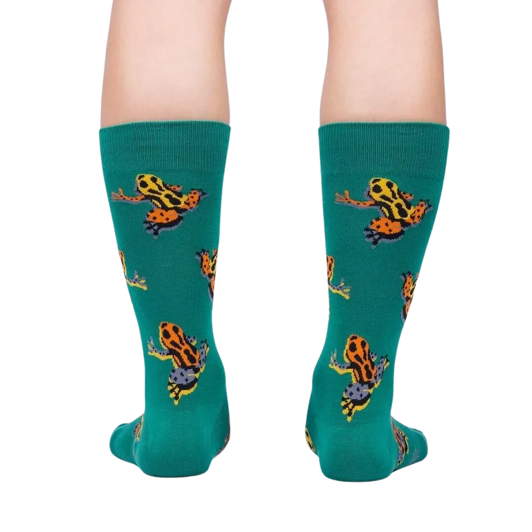 Poison Dart Frog